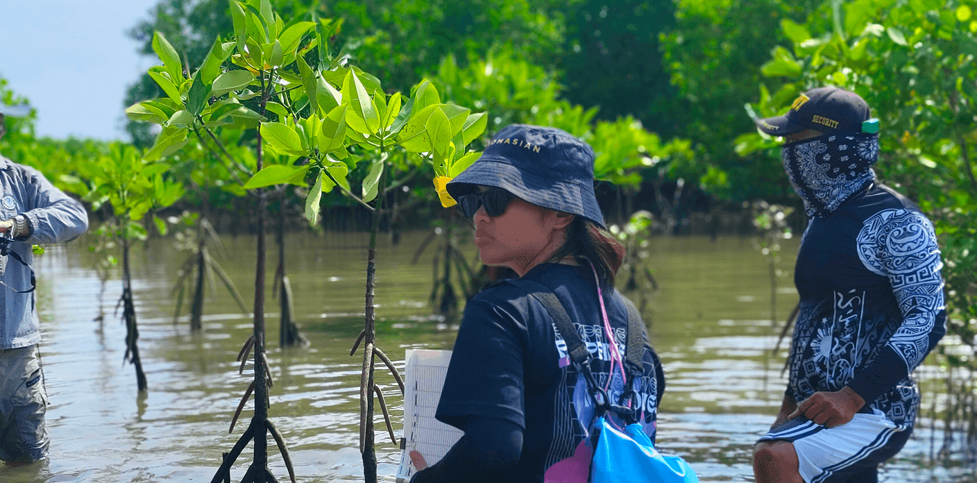 The artist in the field, observing mangrove flora.
